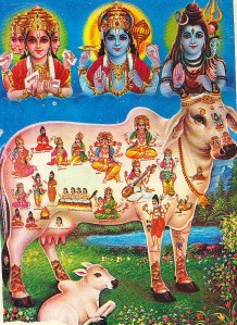 Kámadhénu népszerű nyomaton. O. P. Joshi: Gods of Heaven, Home of Gods, Print 9.