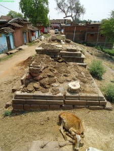 Száradó tehénlepények. Panagar, Jabalpur District, Madhya Pradesh